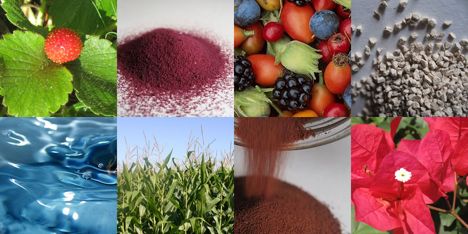 food processing multi