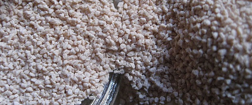 pharmaceutical processing